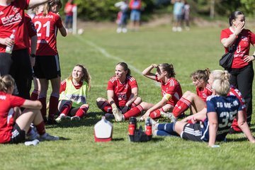 Bild 460 - F SG NieBar - IF Stjernen Flensborg : Ergebnis: 2:0